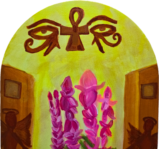 Salvia sclarea Paradox